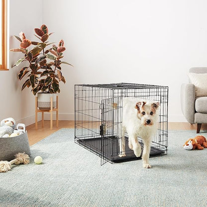 Amazon Basics Portable Metal Wire Dog Crate with Removable Tray, Single Door with Divider Panel, Foldable, Collapsible, Easy to Assemble & Clean, 36" x 23" x 25", Black
