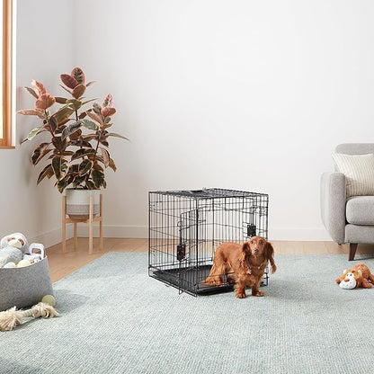 Amazon Basics Portable, Foldable Metal Wire Dog Crate with Removable Tray, Double Door, Divider Panel, 24" x 18" x 20", Black