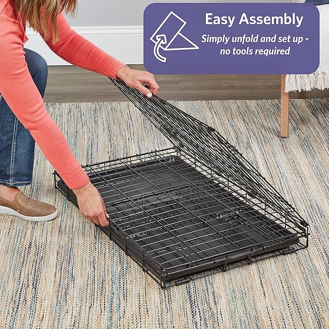 MidWest Homes for Pets 48-Inch iCrate for Extra-Large Breeds, 90-110 lbs, Single Door Folding Dog Crate with Divider Panel, Leak-Proof Tray & Secure Latches, Portable, Durable & Easy to Assemble