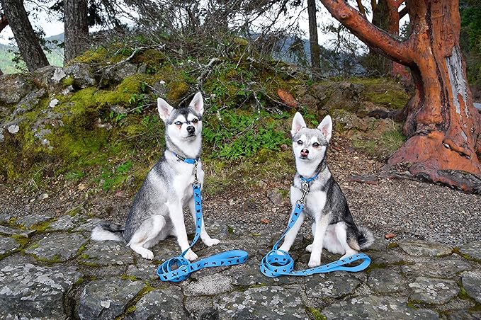 EcoBark Dog Leash - Soft & Reflective Comfort Leashes with Padded Handle - Safe, Strong, & Durable for Small, Medium or Large Dogs (Sky Blue)