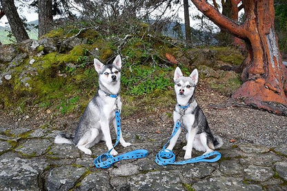 EcoBark Dog Leash - Soft & Reflective Comfort Leashes with Padded Handle - Safe, Strong, & Durable for Small, Medium or Large Dogs (Sky Blue)