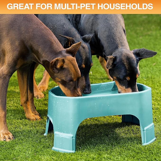 Neater Pet Brands Extra Large Water Bowl for Dogs, Elevated Outdoor Dog Water Bowl (1.25 Gallon XL Capacity), Big Trough Style Food Dish for Indoors or Outside, No Spill Large Dog Bowls, Aquamarine