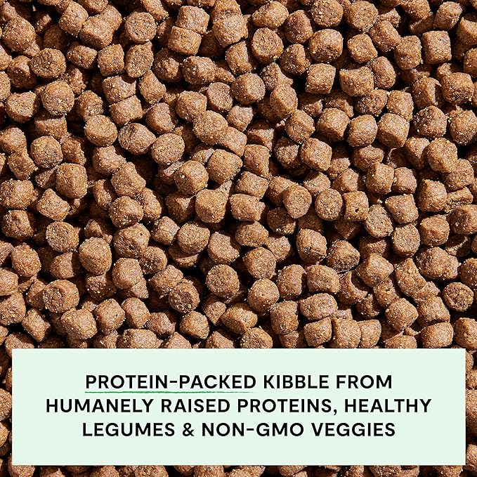 Open Farm, Grain-Free Dry Dog Food, Complete & Balanced Kibble, Sustainably & Ethically Sourced Ingredients, Non-GMO Veggies & Superfoods Support Overall Health, Pasture Raised Lamb Recipe, 22lb Bag
