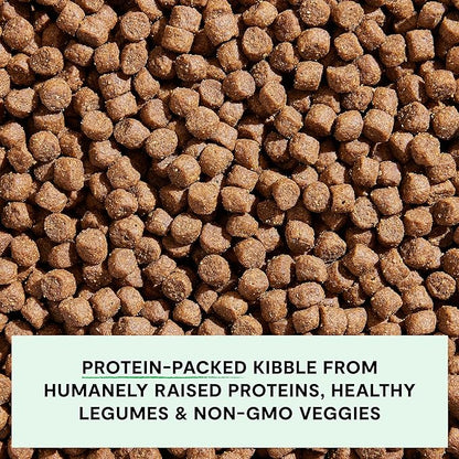 Open Farm, Grain-Free Dry Dog Food, Complete & Balanced Kibble, Sustainably & Ethically Sourced Ingredients, Non-GMO Veggies & Superfoods Support Overall Health, Pasture Raised Lamb Recipe, 22lb Bag