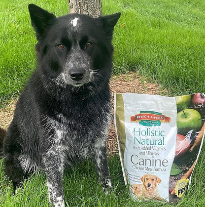 Bench & Field Holistic Natural Adult Dry Dog Food, Chicken Meal and Brown Rice Recipe 12 lb Bag (Pack of 2)