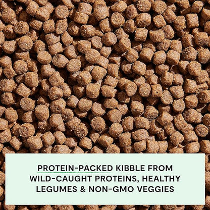 Open Farm, Grain-Free Dry Dog Food, Complete & Balanced Kibble, Sustainably & Ethically Sourced Ingredients, Non-GMO Veggies & Superfoods, Catch-of-The-Season Whitefish Recipe, 22lb Bag
