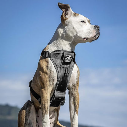 Kurgo Tru-Fit Smart Dog Walking Harness - Comfortable Fit - Adjustable Harness - Reflective Pet Wear - Quick Strap Release - Daily Walk Accessory - Includes Seat Belt Loop - Black - X-Small