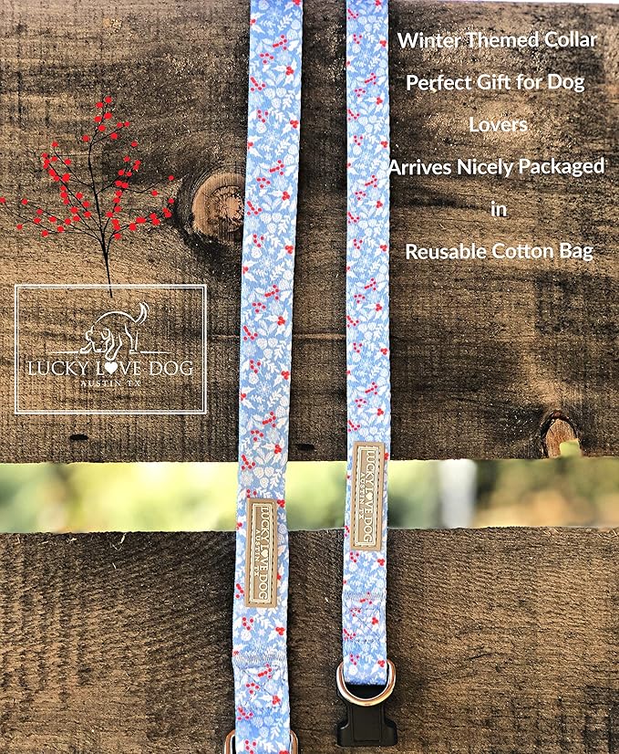 Lucky Love Dog Dog Collar, Leash Set Large, Premium, Cute and Adjustable Collars for Male and Female Dogs, Winterblue Combo, Large