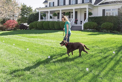 PetSafe 50 Boundary Flags - Extra Boundary Flags for In-Ground & Wireless Fence Training - Reusable Yard Markers - Visual Aid Flags for Pet Containment - Outdoor Pet Training Accessory