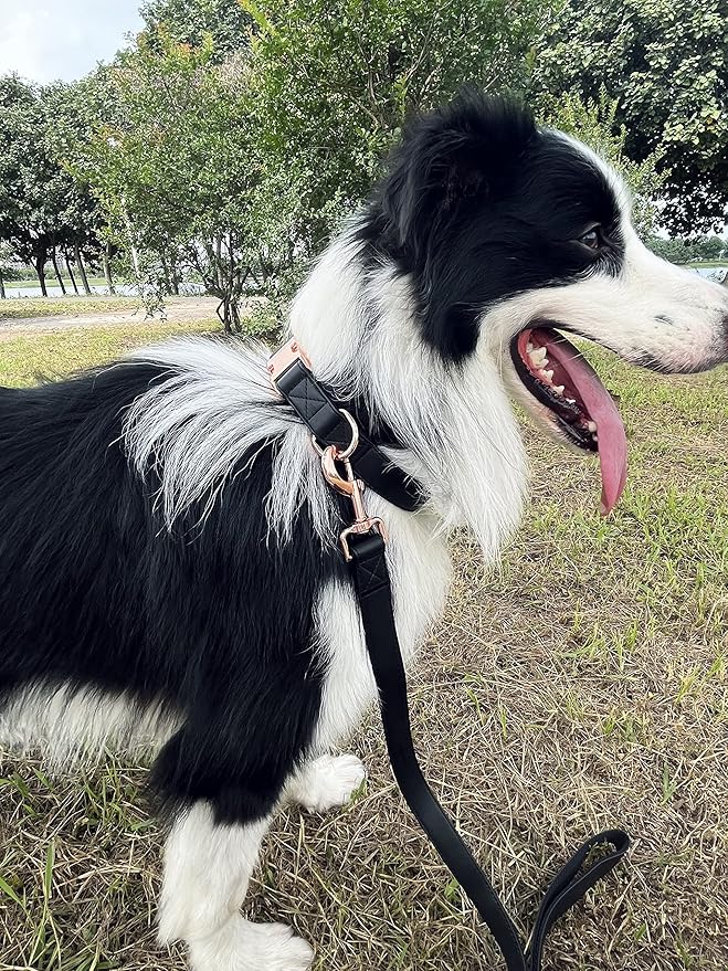 Dog Collar and Leash Set.Soft and Easy to Clean Vegan Leather with Rose Gold Metal Buckle for Small Medium Large Dogs (Black, L(15.4”-24.8“)