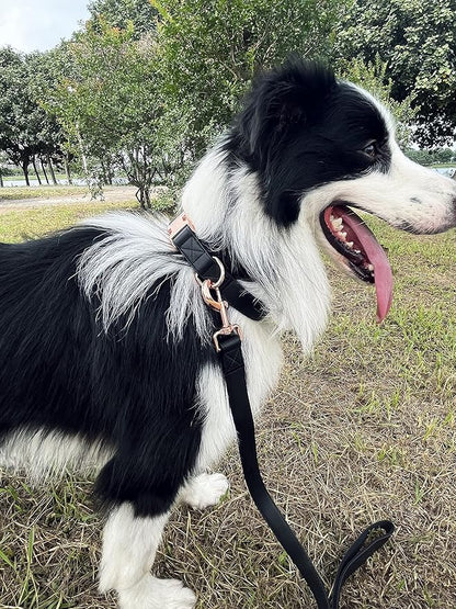 Dog Collar and Leash Set.Soft and Easy to Clean Vegan Leather with Rose Gold Metal Buckle for Small Medium Large Dogs (Black, L(15.4”-24.8“)