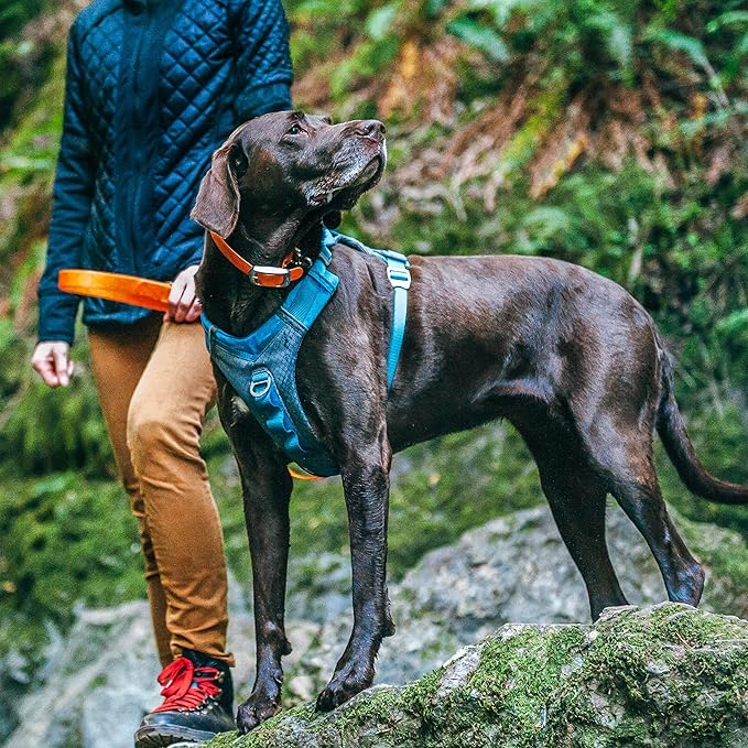 Kurgo Journey Air Dog Harness - Secure Fit for Active Dogs - Padded Chest - Lightweight Ripstop Fabric - Breathable Mesh - Reflective Trim - Back Assist Handle - Blue - X-Large