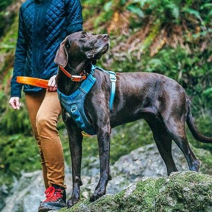 Kurgo Journey Air Dog Harness - Secure Fit for Active Dogs - Padded Chest - Lightweight Ripstop Fabric - Breathable Mesh - Reflective Trim - Back Assist Handle - Blue - X-Large