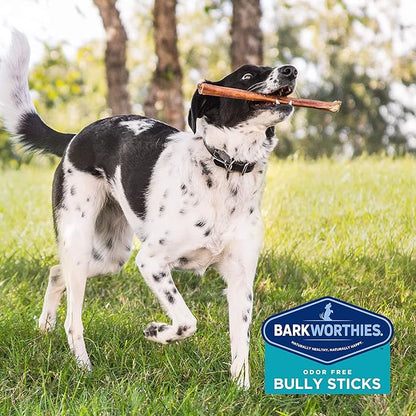 Barkworthies Odor-Free 12 Inch Bully Sticks - 3 Count (Pack of 1) - Protein-Packed, Easily Digestible, All-Natural Rawhide Alternative, Supports Dental Health