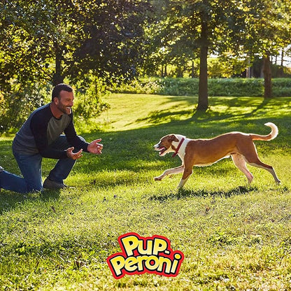 Pup-Peroni Dog Treats, Filet Mignon & Bacon Flavors, 22.5 Ounce, Made with Real Steak (Pack of 2)