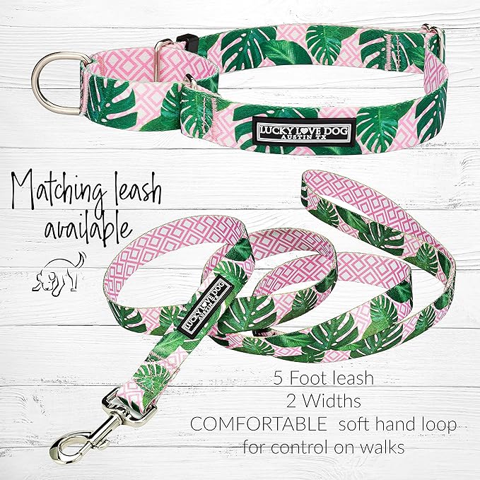 Lucky Love Dog Martingale Dog Collar - Adjustable, No-Slip, Comfortable, Durable, Soft Webbing & Stylish Patterned Collar for Male and Female Dogs Ideal for Training & Walking - Laguna, Medium