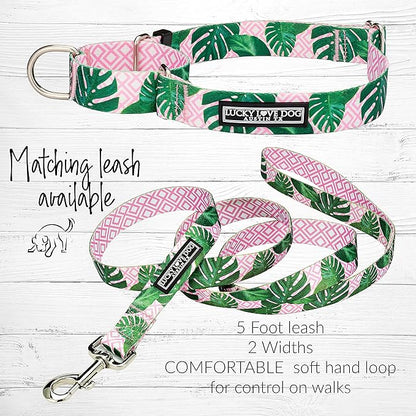 Lucky Love Dog Martingale Dog Collar - Adjustable, No-Slip, Comfortable, Durable, Soft Webbing & Stylish Patterned Collar for Male and Female Dogs Ideal for Training & Walking - Laguna, Medium