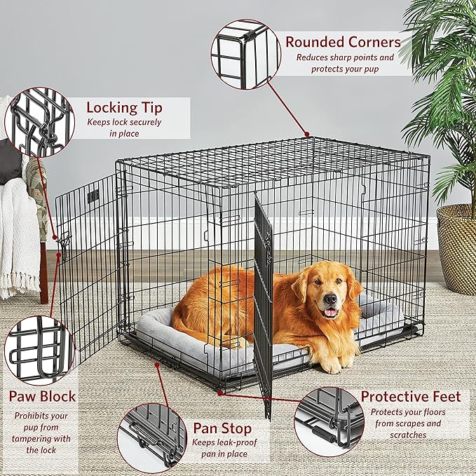 MidWest Homes for Pets 42-Inch LifeStages Crate for Large Breeds, 71-90 lbs, Double Door Folding Dog Crate with Divider Panel, Leak-Proof Tray & Secure Latch, Heavy-Duty & Easy to Assemble