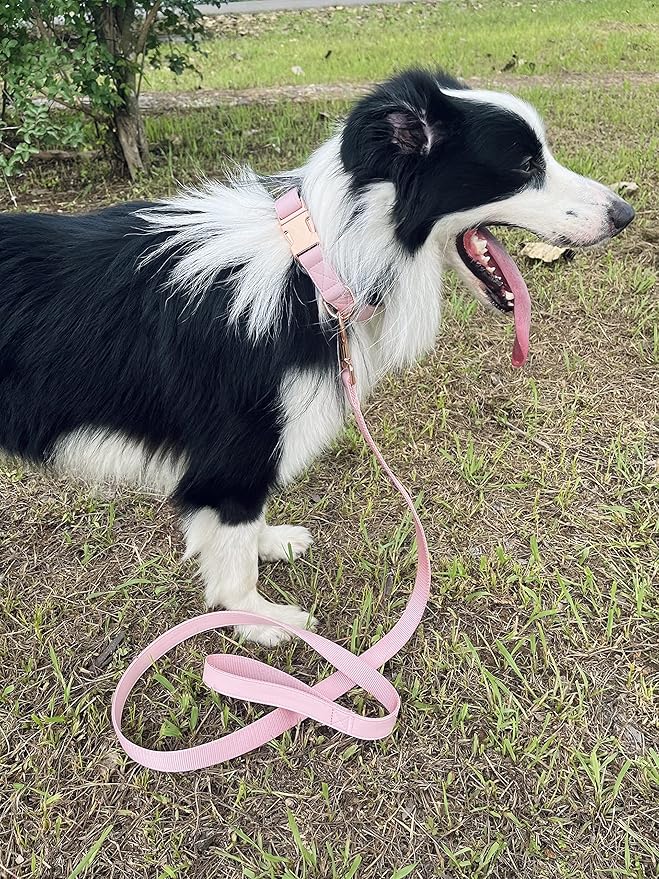 Dog Collar and Leash Set.Soft and Easy to Clean Vegan Leather with Rose Gold Metal Buckle for Small Medium Large Dogs (Pink, L(15.4”-24.8“)