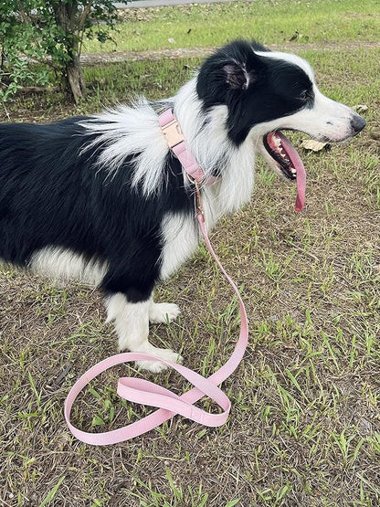 Dog Collar and Leash Set.Soft and Easy to Clean Vegan Leather with Rose Gold Metal Buckle for Small Medium Large Dogs (Pink, L(15.4”-24.8“)