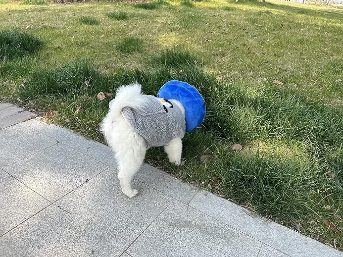Comfortable & Adjustable Inflatable Pet Collar - Alternative to Cone Shaped Collars - Great for Post-Surgery or Injury Recovery - Durable & Non-Toxic Material -Safe and Protective - (Medium 9-12 in.)
