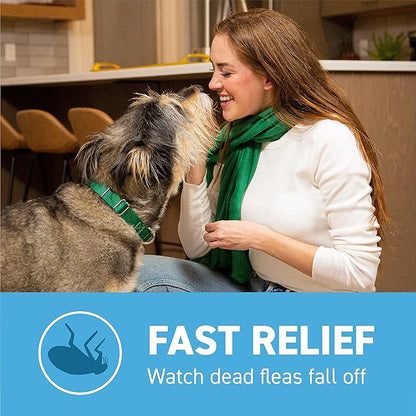 ADVECTA Flea and Tick Prevention for Small Dogs 4-10 lbs (2 Doses) + CAPSTAR Flea Treatment for Dogs 2-25 lbs (6 Doses) Bundle
