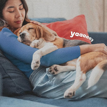 ADAMS Plus Flea & Tick Collar for Small Dogs, Flea Collar for 7-Month Prevention, Adjustable Collar Fits Small Dogs & Puppies, Kills Fleas & Ticks, 1 Count