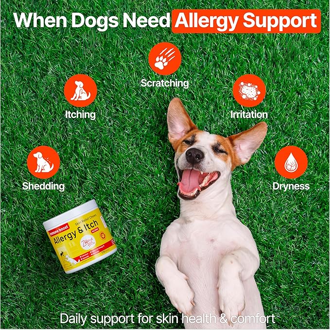 Dog Allergy Chews – Dog Allergy Relief, Itch Relief for Dogs – Anti Itch, Allergies & Immune Chews for Dogs with Omega 3 Fish Oil, Colostrum & Probiotics – 340 Count, Made in USA