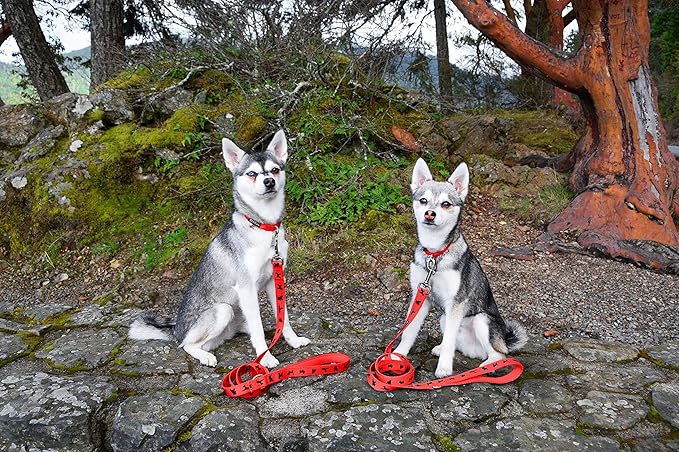 EcoBark Dog Leash - Soft & Reflective Comfort Leashes with Padded Handle - Safe, Strong, & Durable for Small, Medium or Large Dogs (Red)