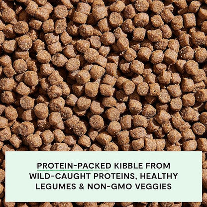 Open Farm, Grain-Free Dry Dog Food, Complete & Balanced Kibble, Sustainably & Ethically Sourced Ingredients, Non-GMO Veggies & Superfoods to Support Overall Health, Wild-Caught Salmon Recipe, 11lb Bag