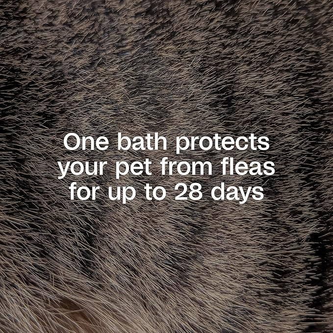 ADAMS Plus Flea & Tick Shampoo with Precor for Dogs, Cats, Puppies & Kittens, Flea Shampoo to Treat Flea Infestations, Kills Ticks, Fleas, Flea Eggs & Lice, Cleans and Conditions Coat, 6 Ounces