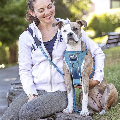 Kurgo Tru-Fit Smart Dog Walking Harness - Comfortable Fit - Adjustable Harness - Reflective Pet Wear - Quick Strap Release - Daily Walk Accessory - Includes Seat Belt Loop - Blue - X-Small