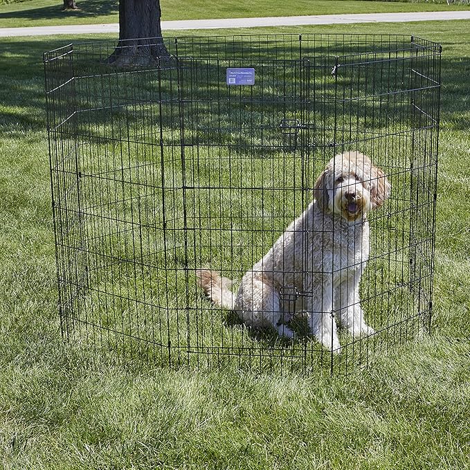 MidWest Homes for Pets 48-Inch Exercise Pen, for Indoor and Outdoor Use, 16 Sq Feet of Play, Single Door Folding Dog Pen, with Large Door Opening & Secure Latch, Easy to Set Up, Foldable Dog Playpen