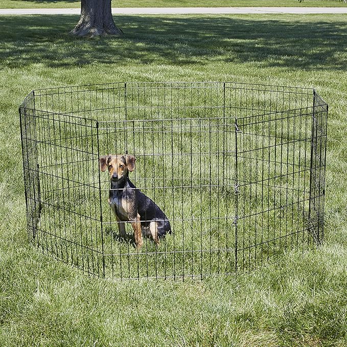 New World by MidWest Homes for Pets 30-Inch Exercise Pen, for Indoor and Outdoor use, 16 Sq Feet of Play, Folding Dog Pen, No Door Design for Maximum Security, Easy to Set Up, Foldable Pet Playpen