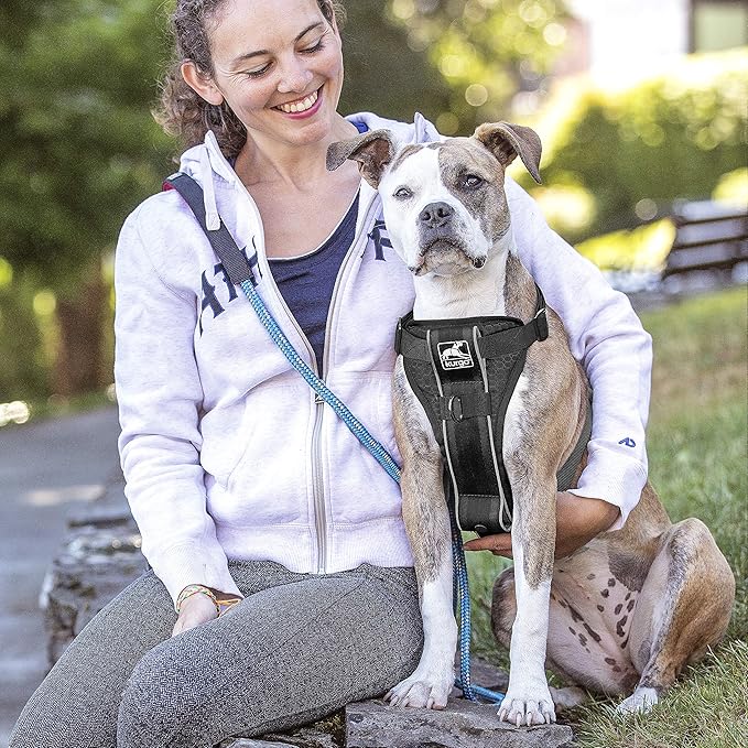 Kurgo Tru-Fit Smart Dog Walking Harness - Comfortable Fit - Adjustable Harness - Reflective Pet Wear - Quick Strap Release - Daily Walk Accessory - Includes Seat Belt Loop - Black - X-Small