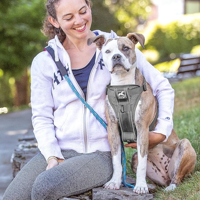 Kurgo Tru-Fit Smart Dog Walking Harness - Comfortable Fit - Adjustable Harness - Reflective Pet Wear - Quick Strap Release - Daily Walk Accessory - Includes Seat Belt Loop - Grey - X-Small