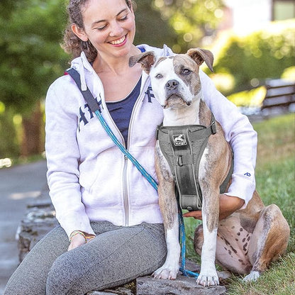 Kurgo Tru-Fit Smart Dog Walking Harness - Comfortable Fit - Adjustable Harness - Reflective Pet Wear - Quick Strap Release - Daily Walk Accessory - Includes Seat Belt Loop - Grey - X-Small